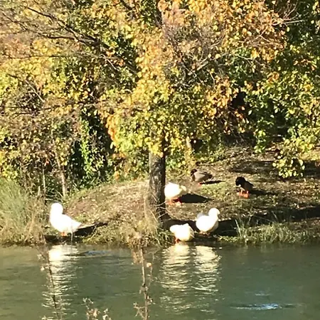 Antos Put Gaja, Apartmán *