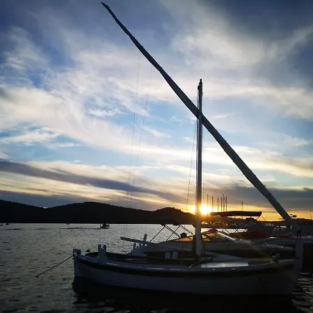 Antos Put Gaja, Διαμέρισμα *
